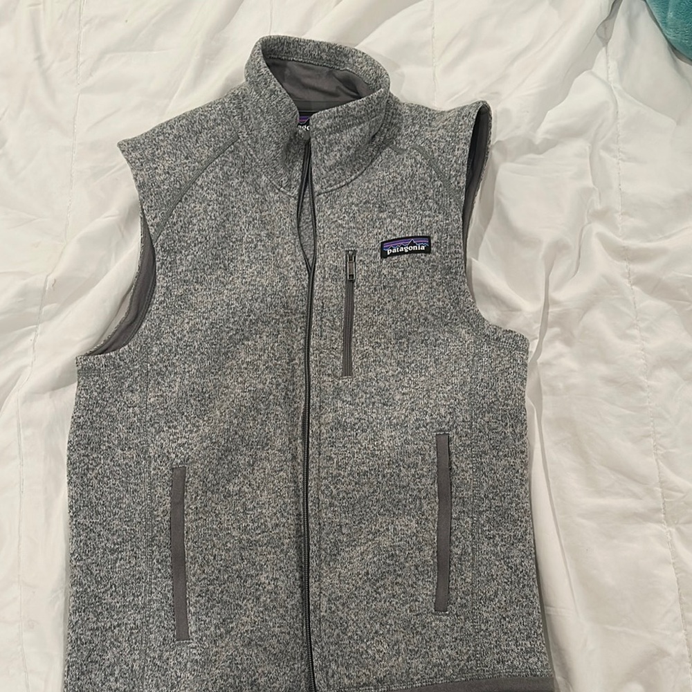 Patagonia Gray Fleece Vest